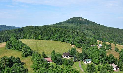 Jedlov�